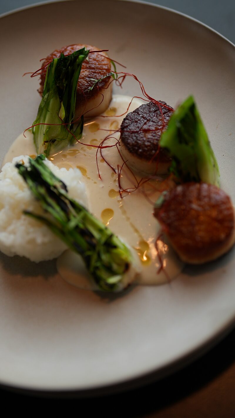 Hokkaido scallops with bok choy and saffron risotto